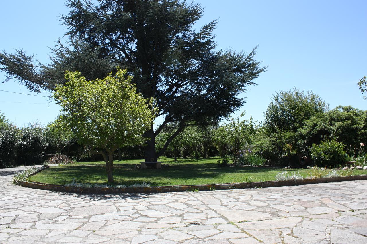 La Villa Blanc (Adults Only)Conques-sur-Orbiel エクステリア 写真