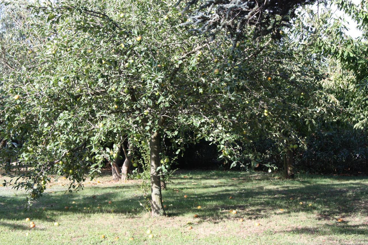 La Villa Blanc (Adults Only)Conques-sur-Orbiel エクステリア 写真